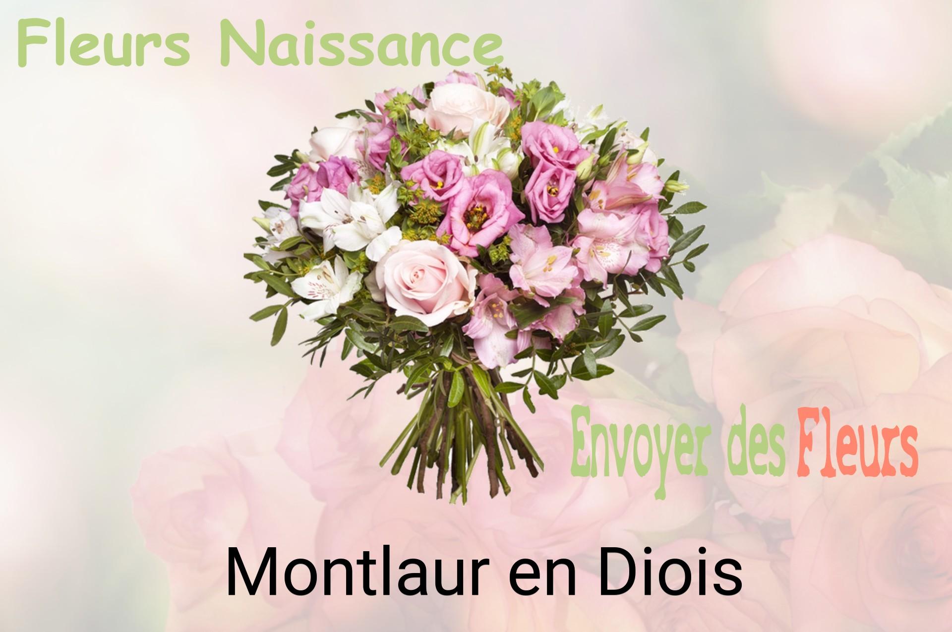 Bouquet de fleurs de naissance livré à Montlaur-en-Diois